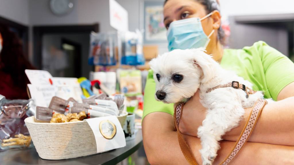 veteriner petshop