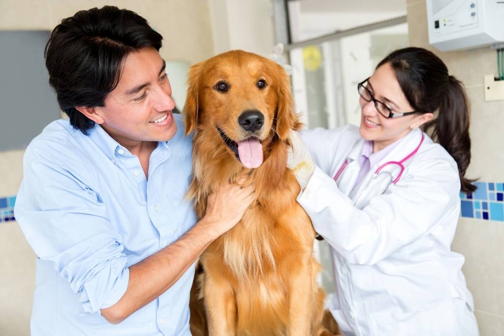 En İyi Veteriner klinikleri