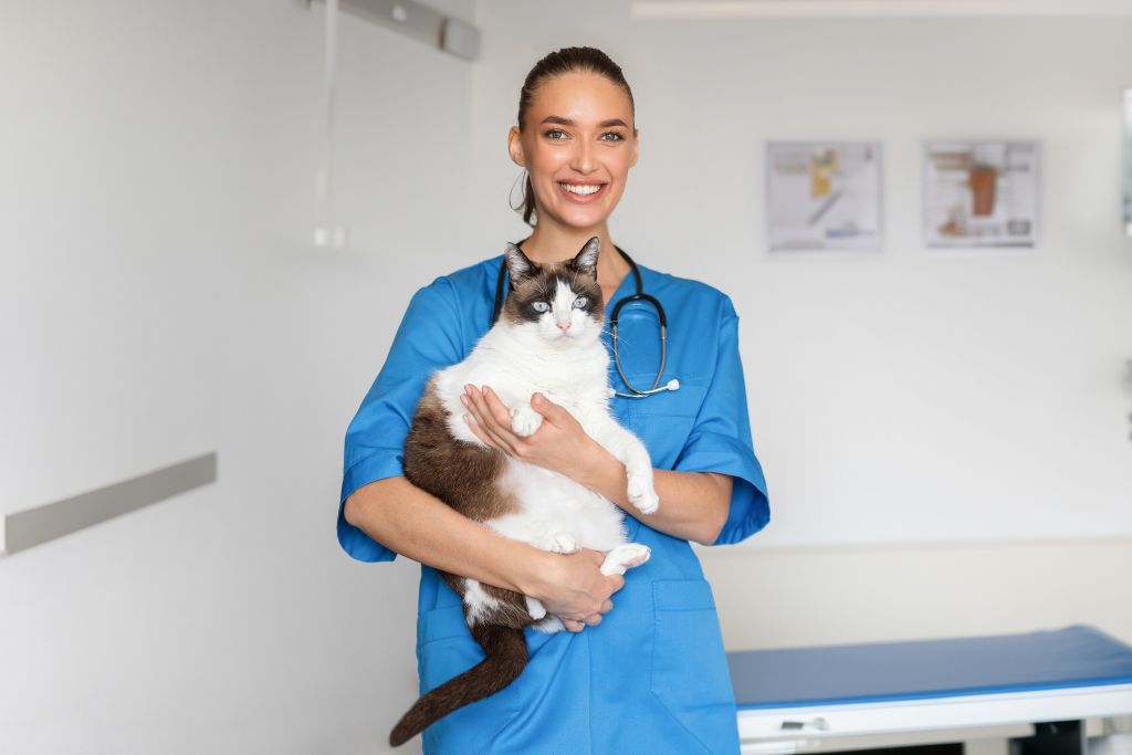 kocasinan merkezde veteriner klinikleri